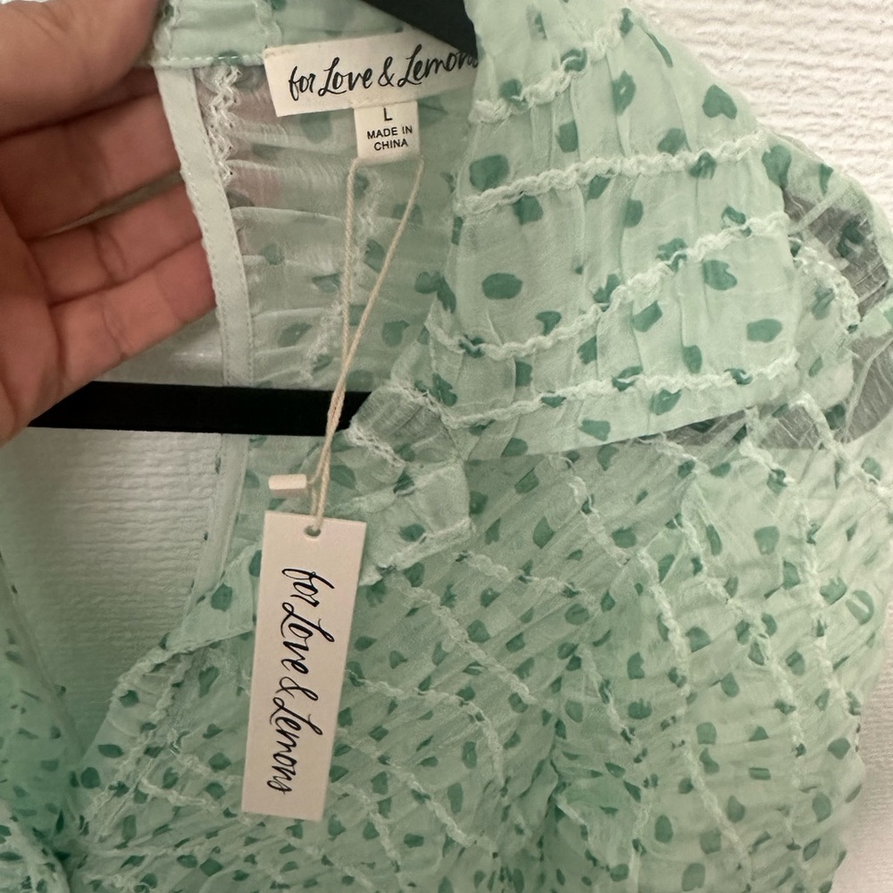For Love & Lemons Mint Green Sheer Dress - Picture 5 of 10